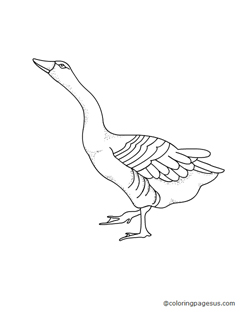 goose02 coloring page
