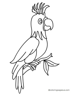 Cockatoo coloring page