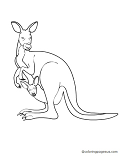 kangaroo01 coloring page