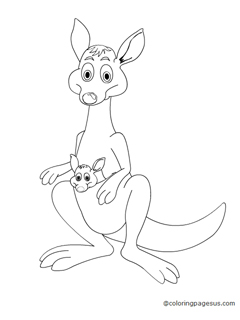 kangaroo02 coloring page