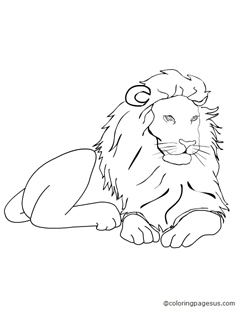 lion03 coloring page