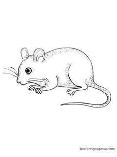 mouse02 coloring page