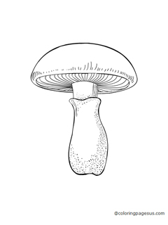 mushroom01 coloring page