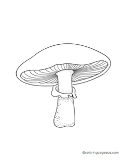 mushroom03 coloring page