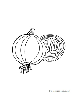 onion03 coloring page
