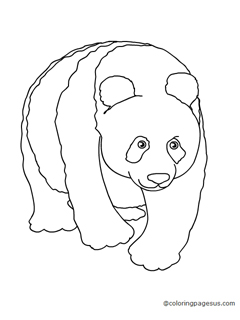 panda03 coloring page