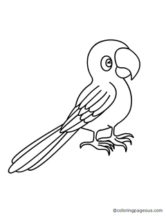 parrot02 coloring page