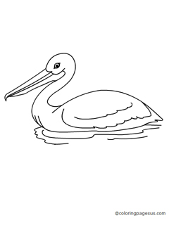 pelican03 coloring page