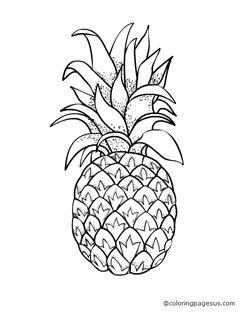 pineapple01 coloring page