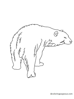 polarbear02 coloring page