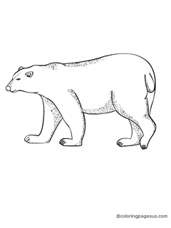 polarbear03 coloring page
