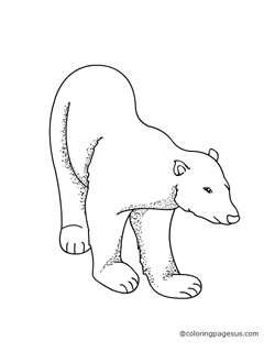 polarbear04 coloring page