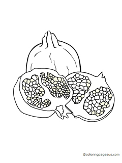 pomegranate03 coloring page