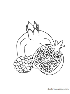 pomegranate04 coloring page