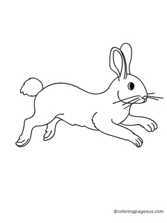 rabbit02 coloring page