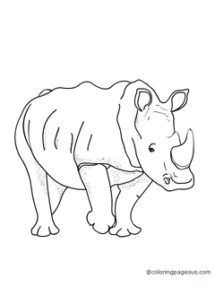 rhinoceros01 coloring page