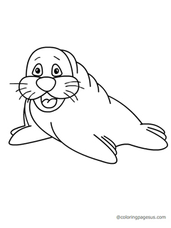 sealion03 coloring page