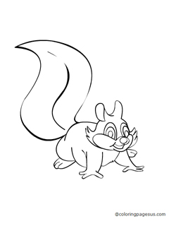 squirell03 coloring page