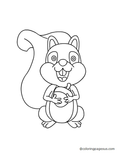 squirell04 coloring page