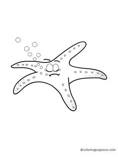starfish03 coloring page
