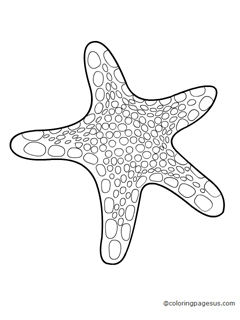 starfish05 coloring page