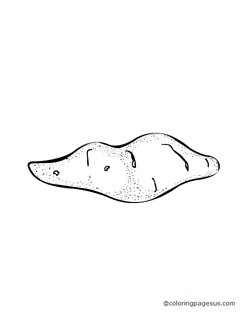 sweetpotato01 coloring page