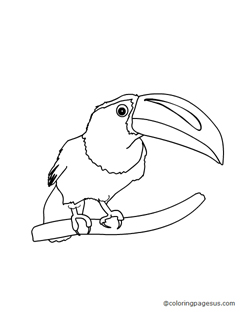 taucan03 coloring page