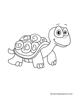 tortoise02 coloring page