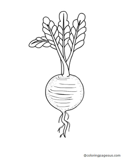turnip02 coloring page