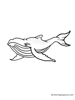 whale01 coloring page