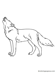 wolf03 coloring page
