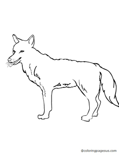 wolf05 coloring page