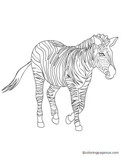 zebra01 coloring page