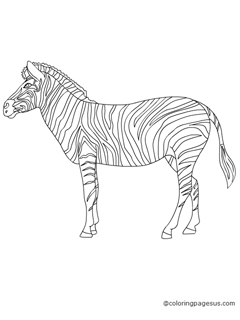 zebra02 coloring page